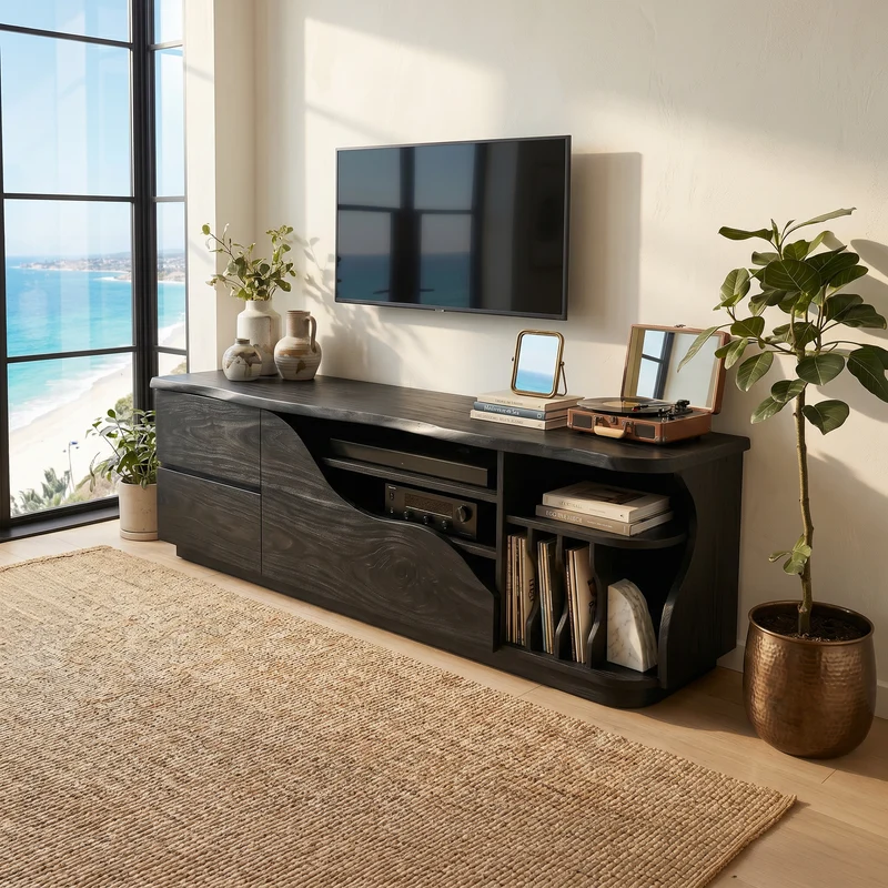 Organic Modern Media Console Vinyl Storage Cabinet SILDTTRTVC115