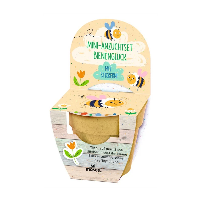 Moses-Mini-Anzuchtset Frühlingswiese