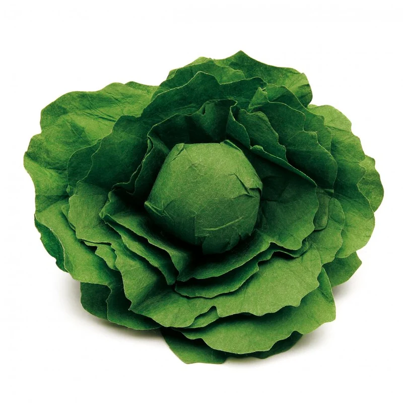 Erzi- Salatkopf
