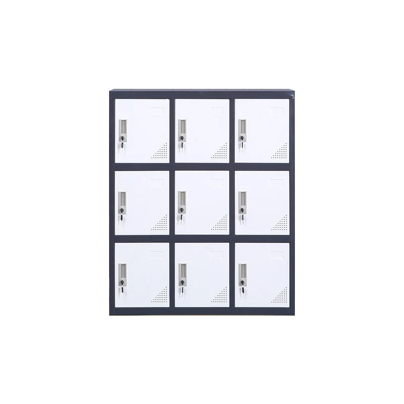 Contemporary Storage Cabinet Hinged Wardrobe Cabinet for Home