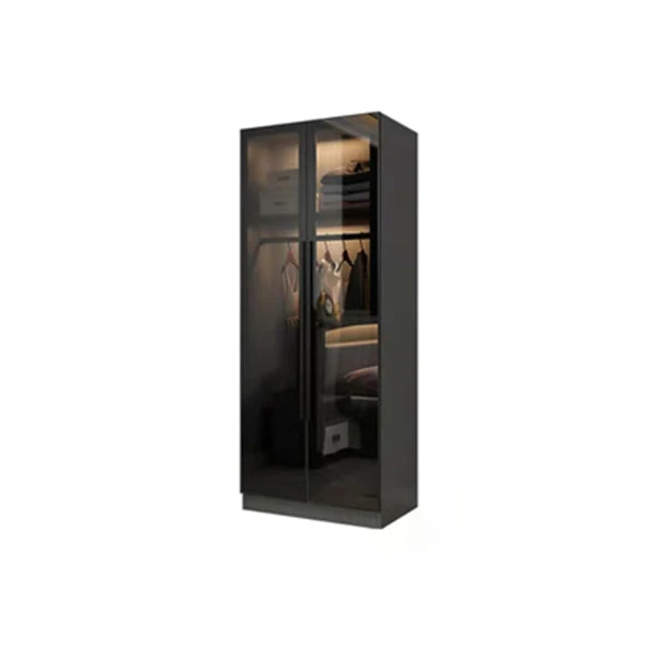 Contemporary Home Wardrobe Armoire Black Glass Wardrobe Cabinet