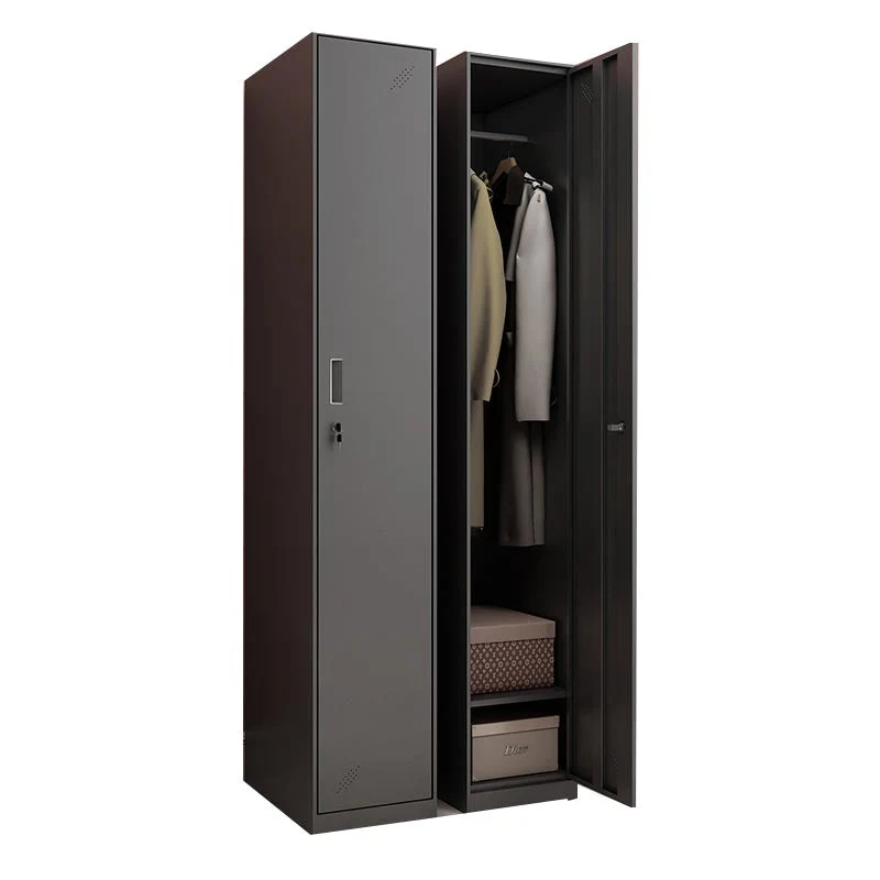 Steel Black Storage Cabinet with Hinged Door Contemporary Indoor Cabinet