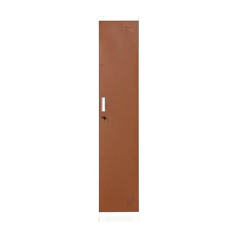 Contemporary Metal Wardrobe Cabinet With Lock Hinged Wardrobe Armoire