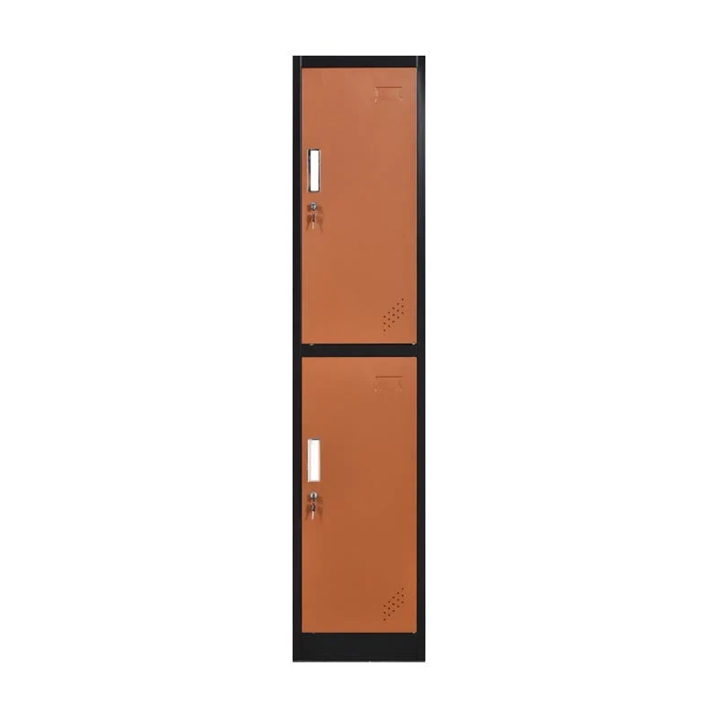 Contemporary Hinged Wardrobe Cabinet Metal Wardrobe Armoire for Home