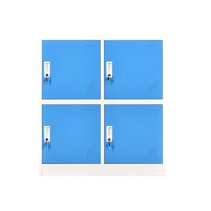 Hinged Contemporary Storage Cabinet Non-Hanging Armoire for Home