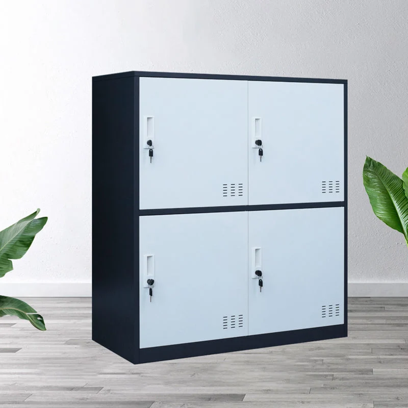Modern Storage Cabinet with Hinged Doors Metal Non-Hanging Armoire for Bathroom