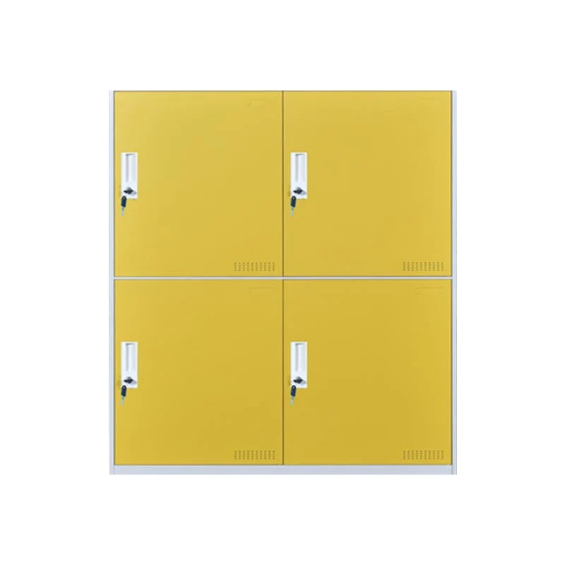 Modern Non-Hanging Armoire with Hinged Doors Matte Finish Storage Cabinet