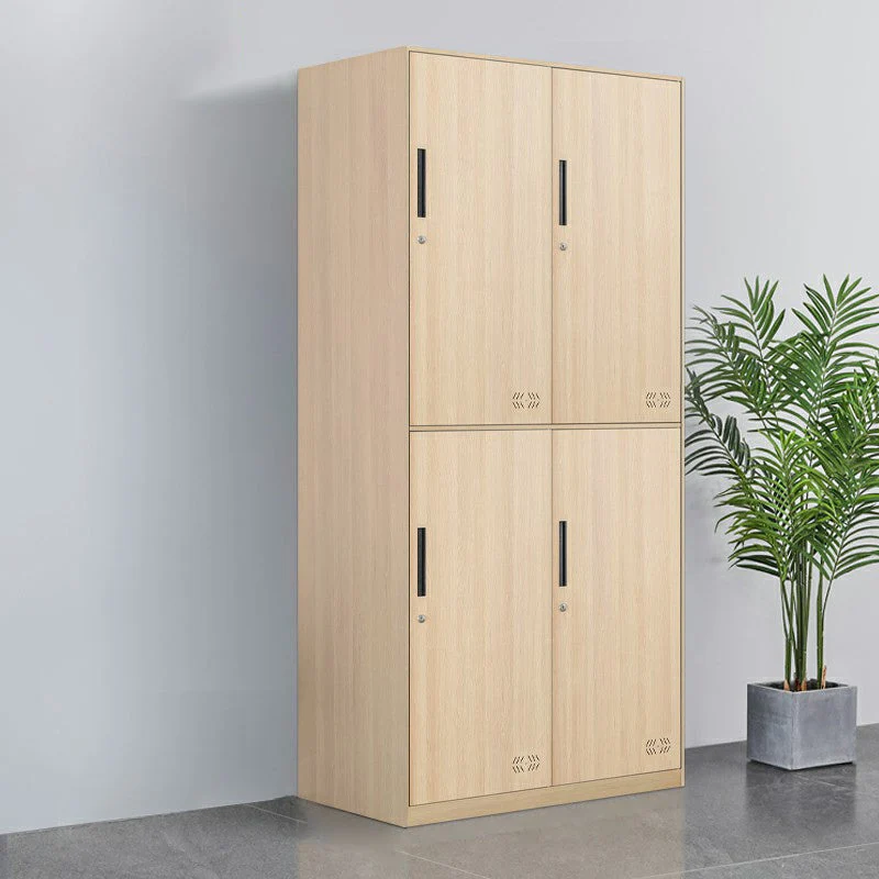 Metal Matte Finish Wardrobe Industrial Storage Cabinet with Hinged Doors