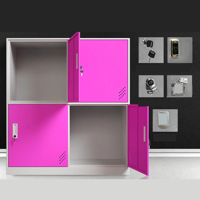 Matte Finish Steel Storage Cabinet with Hinged Doors Contemporary Non-Hanging Armoire