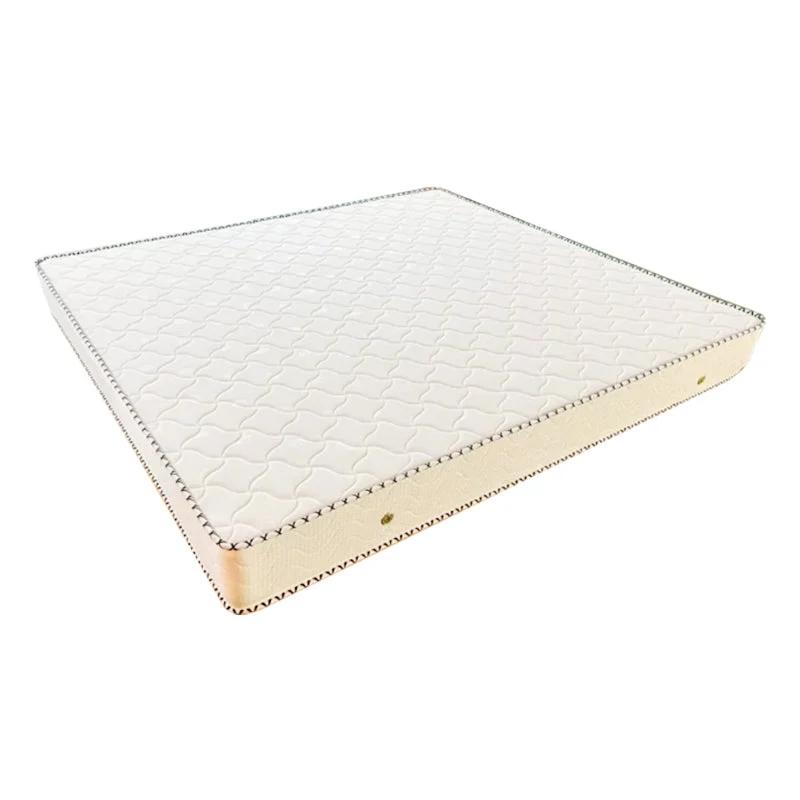 Modern Panel Bed White Faux Leather Standard Bed with Custom Gold Leg