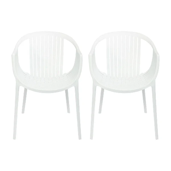 Contemporary Dining Chairs Arm Chair with Plastic Legs for Home