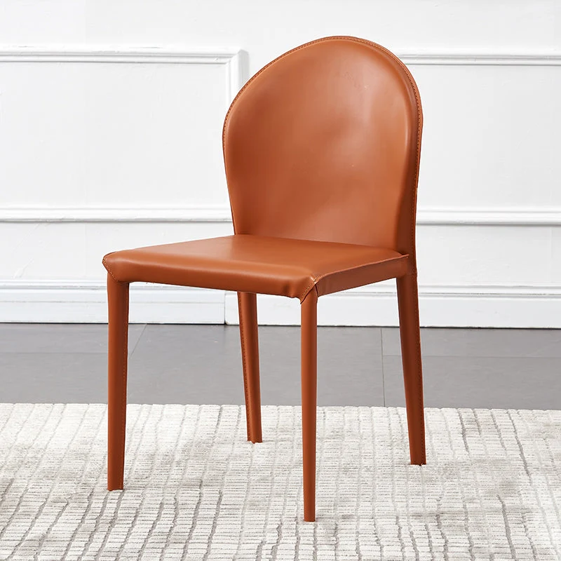 Contemporary Kitchen Dining Side Chair Matte Finish Dining Chair