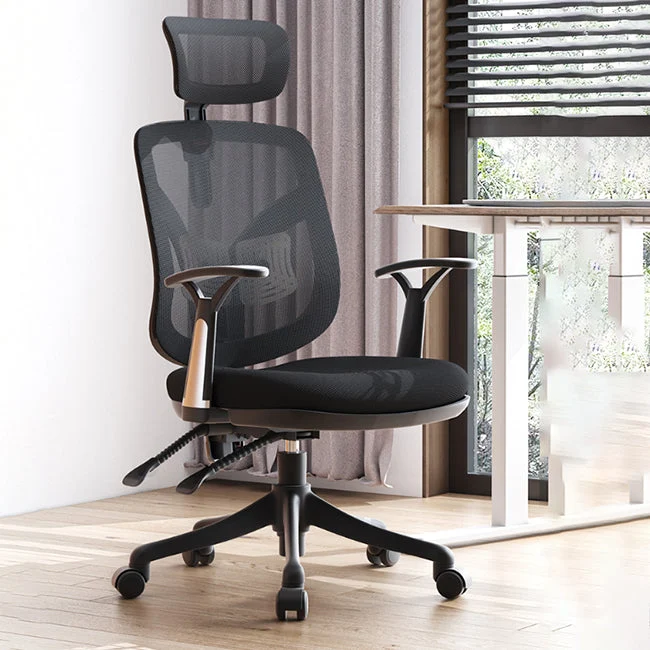 Modern Fixed Arms Desk Chair Ergonomic Task Chair for Office