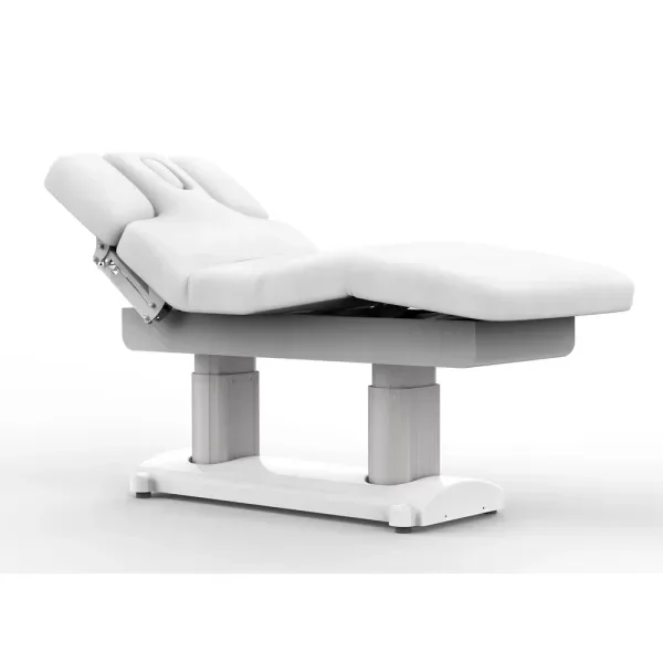 Elektrische Massageliege mit Heizfunktion, Massagetisch mit 4 Motoren, Behandlungsliege Phen